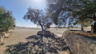 2024-01-Paseo_Costa_Canaria-San_Agustin-Ingles-014.jpg